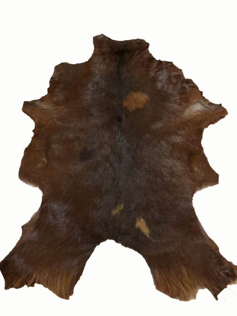 SL.2900.BROWN.3SF#3 (1)