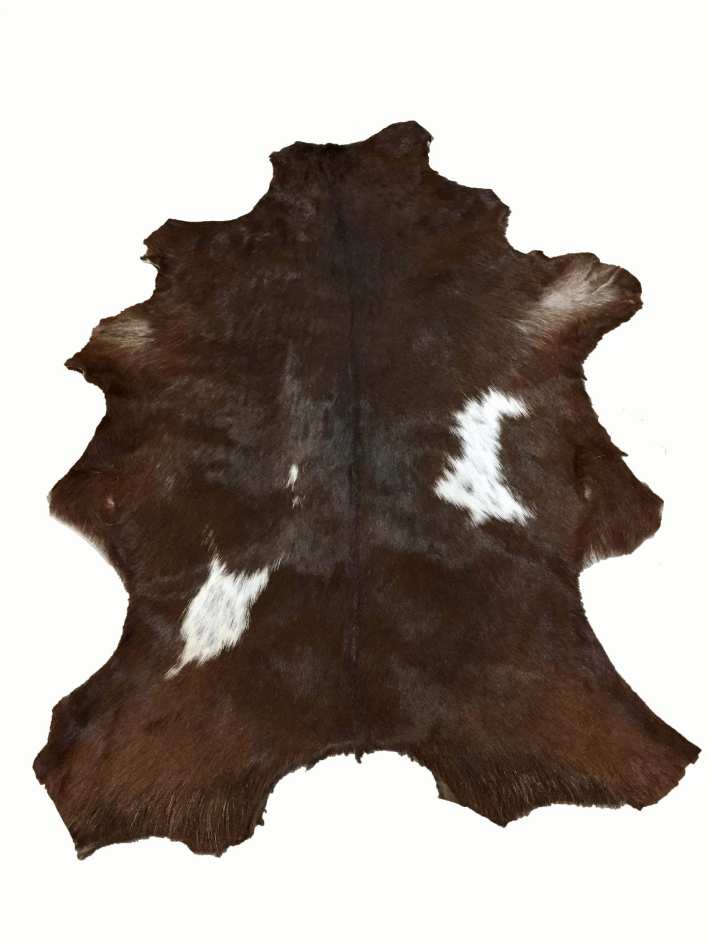 SL.2900.BROWN.3SF#3 (2)