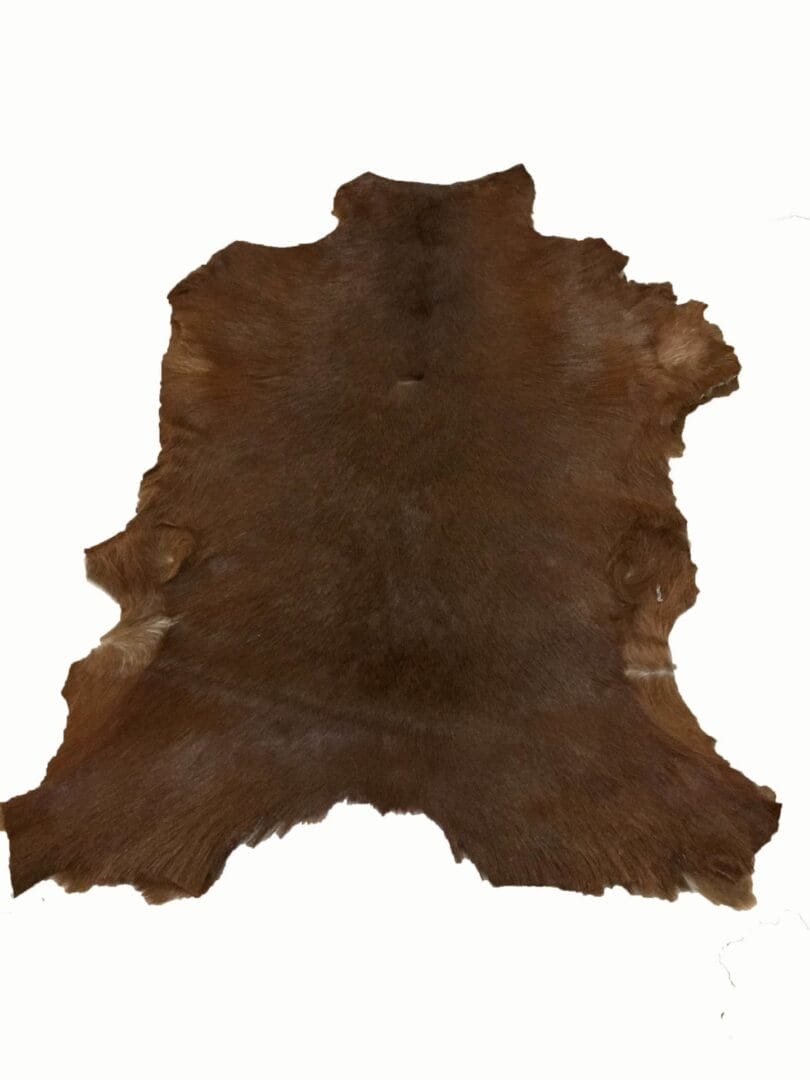 SL.2900.BROWN.3SF#3 (3)