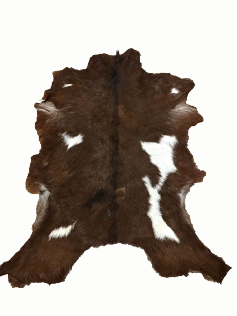 SL.2900.BROWN.3SF#3 (5)