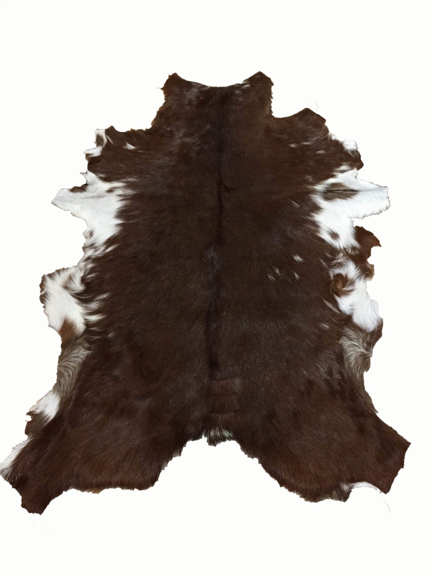 SL.2900.BROWN.3SF#3 (6)