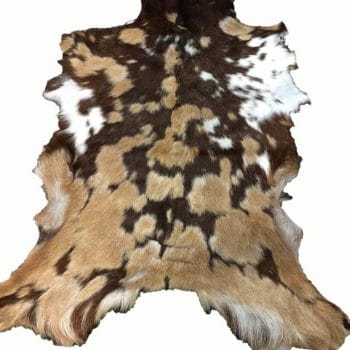 Hair On Goat Hides #4