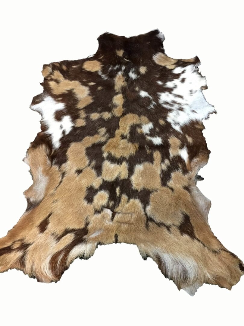 SL.2900.HAIR ON GOAT.#4 (4)