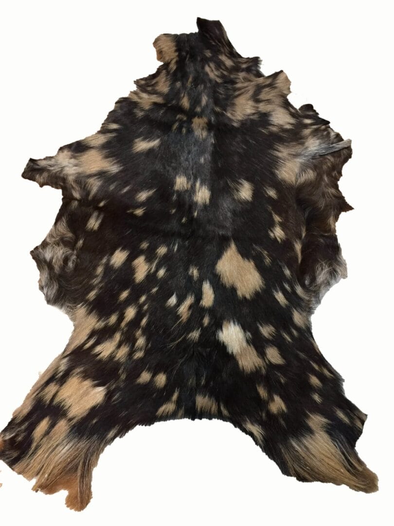 SL.2900.HAIR ON GOAT.#4 (6)