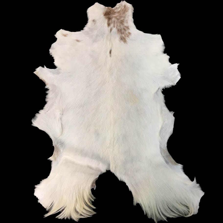 SL.2900.WHITE.3SF#3 (2)