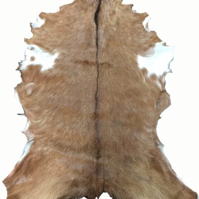Hair On Goat Hide #3 - Tan