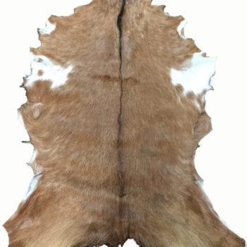Hair On Goat Hide #3 - Tan