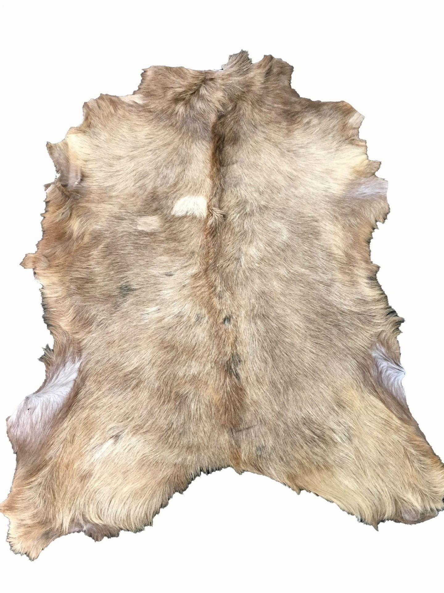 SL.2900.tan#3 (2)