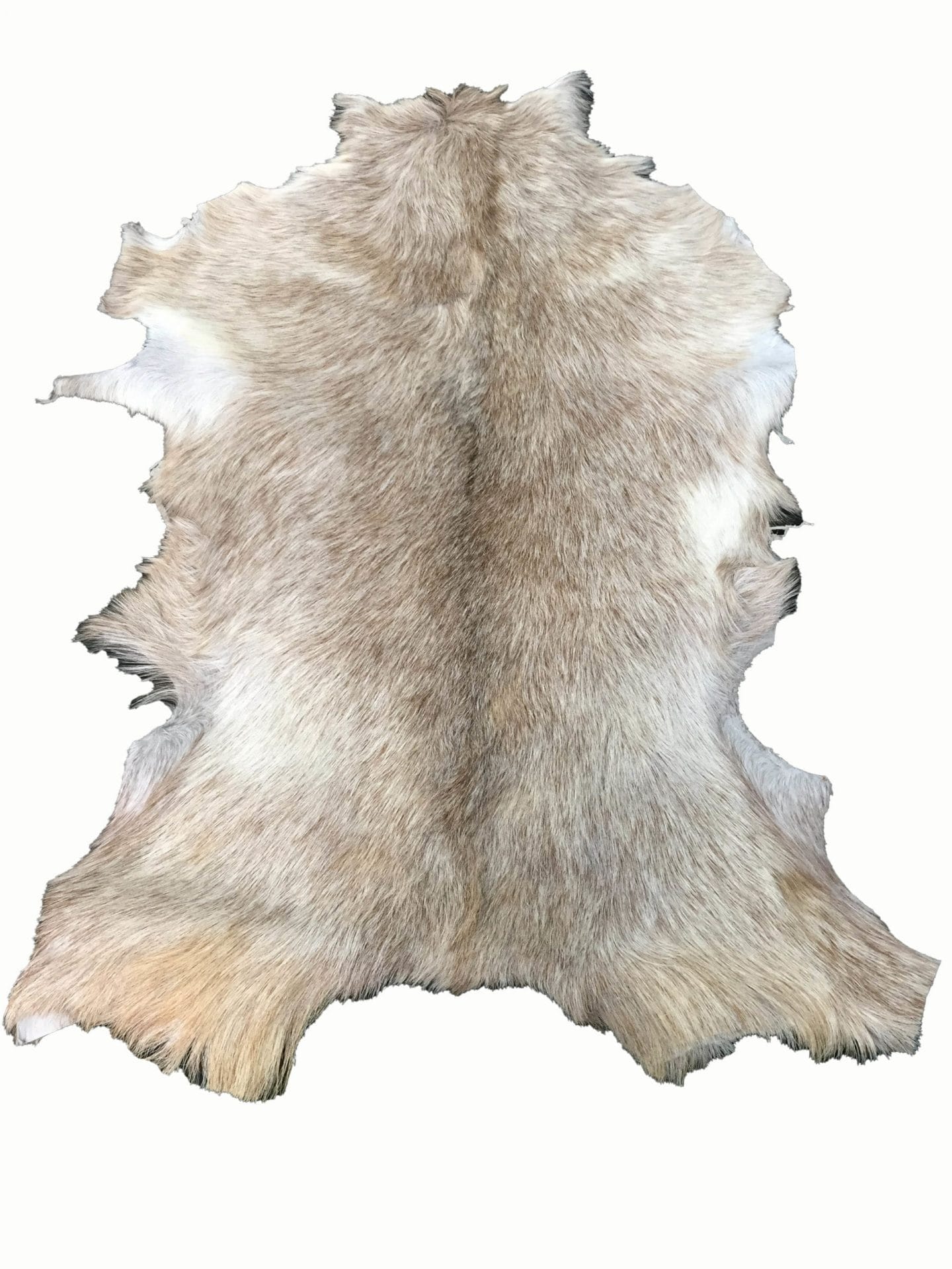SL.2900.tan#3 (3)