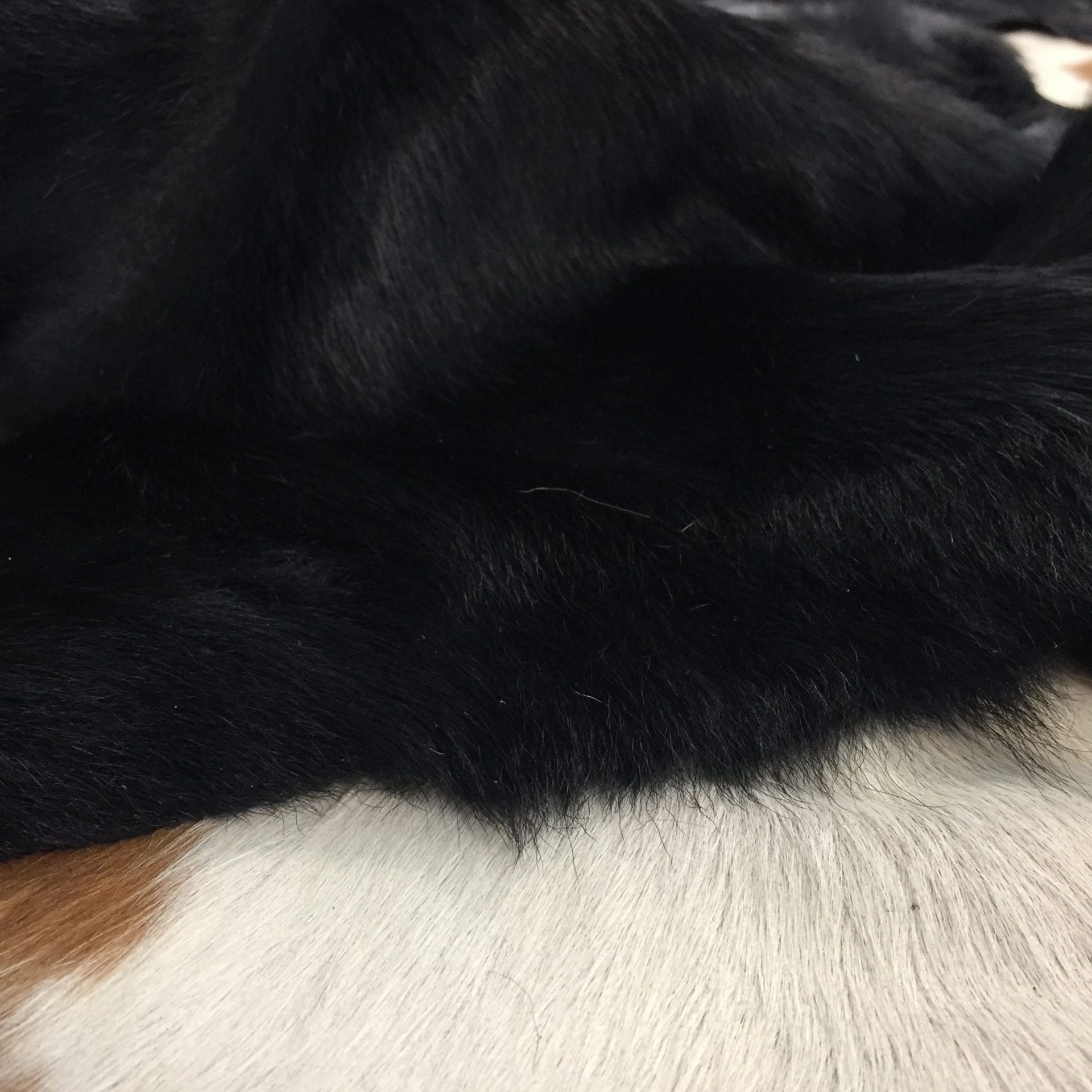 CHO1519 BLK-L (5)