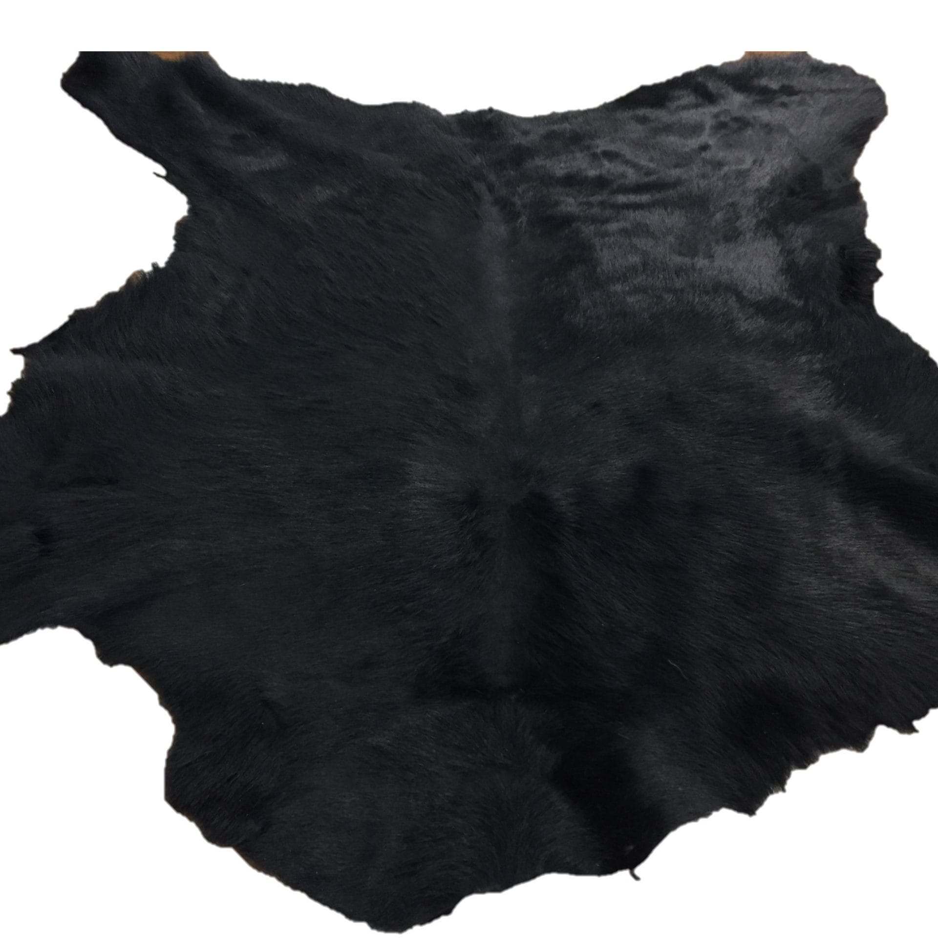 CHO1519 BLK-L