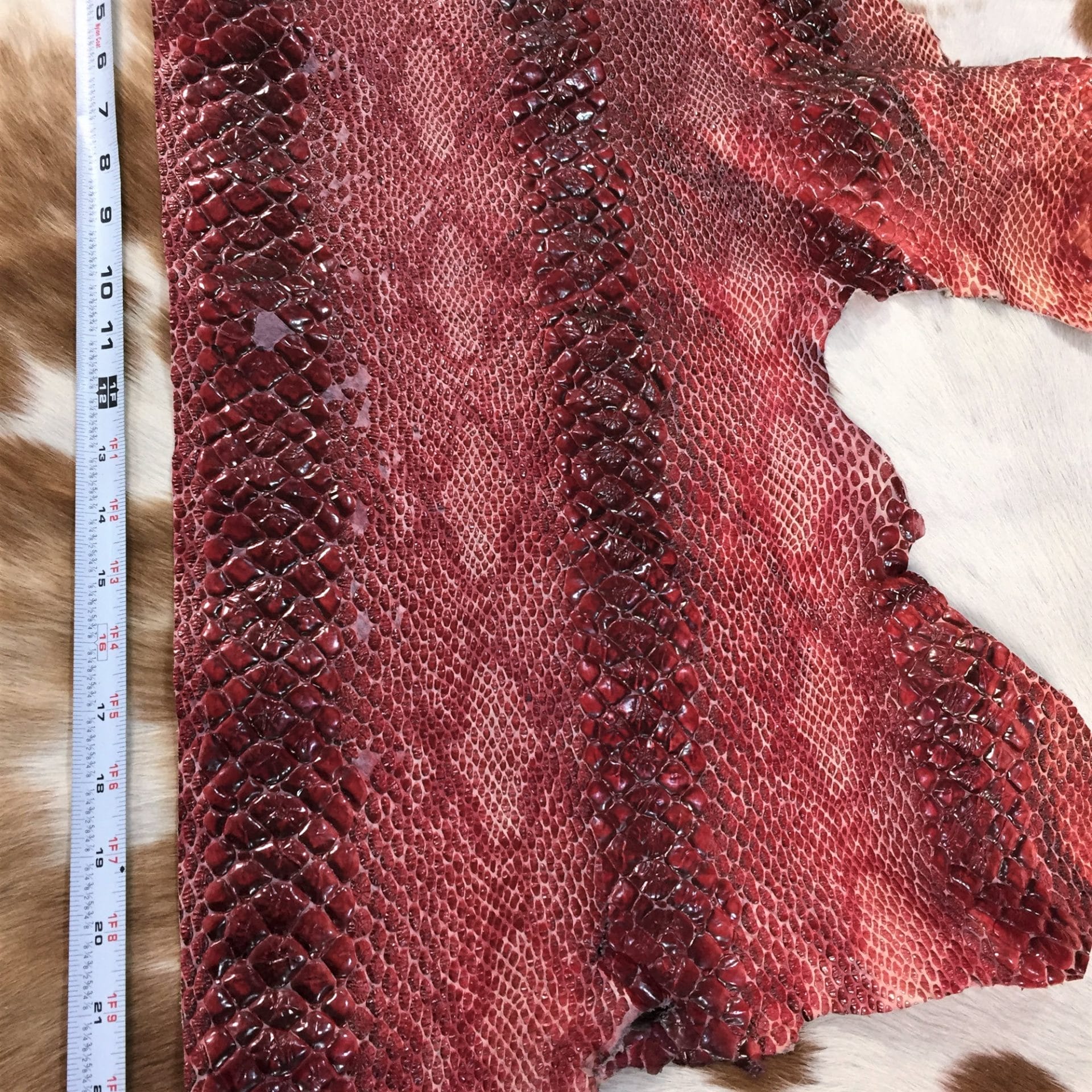 Python Embossed Cow Leather (9)
