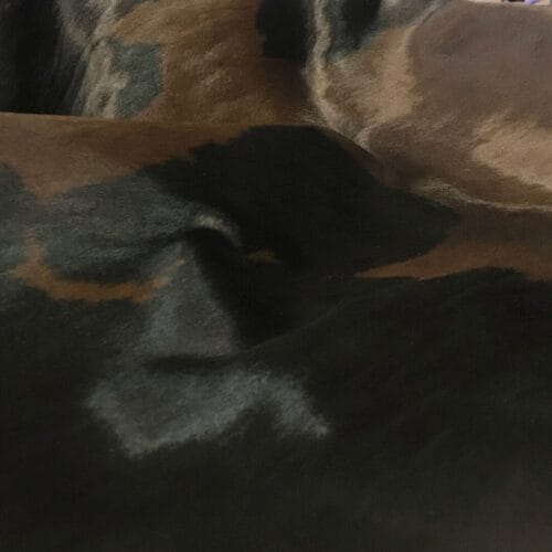 Short Hair Cavallino Calfskin Black with Brown