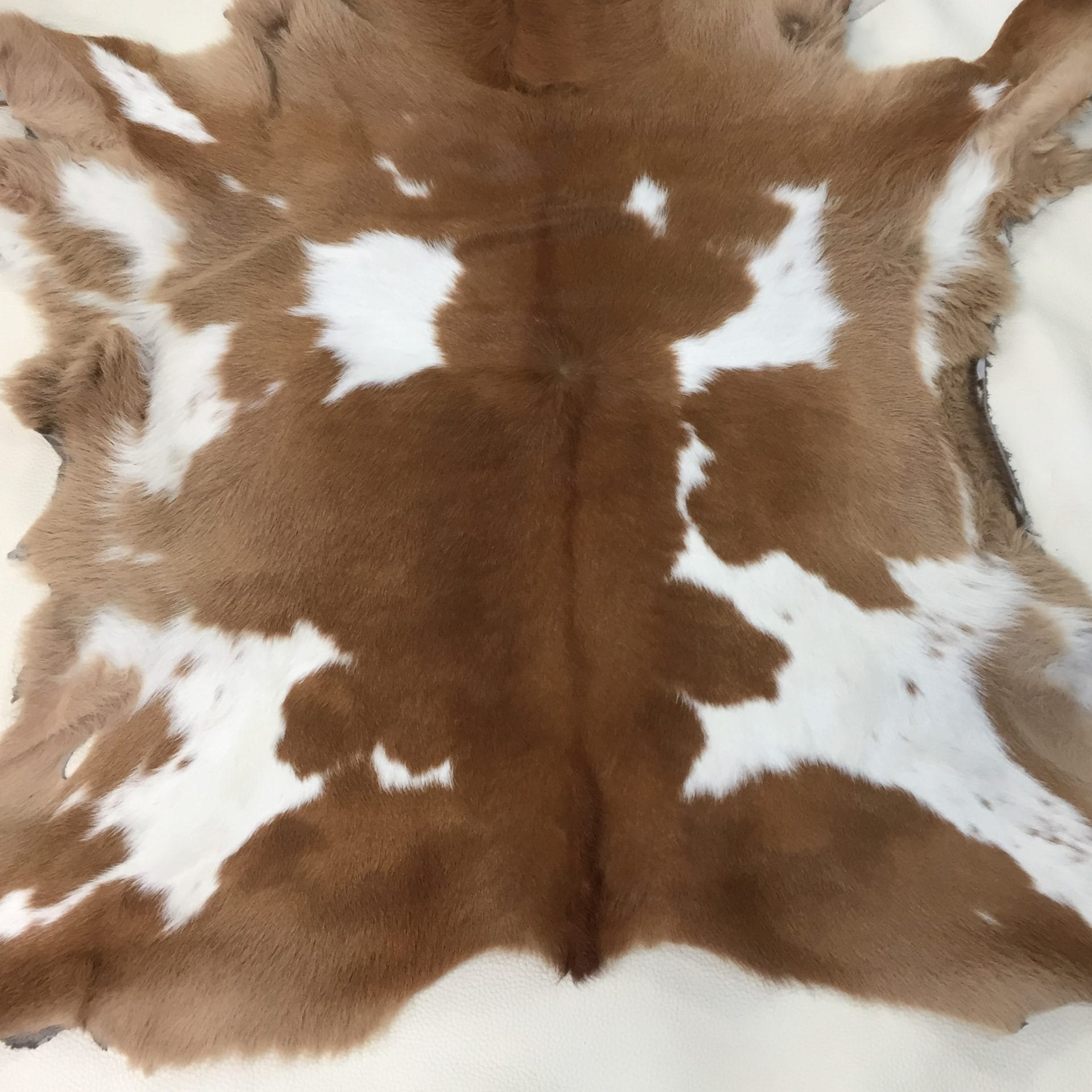 Hair Calfskin Brown with Off White (1)