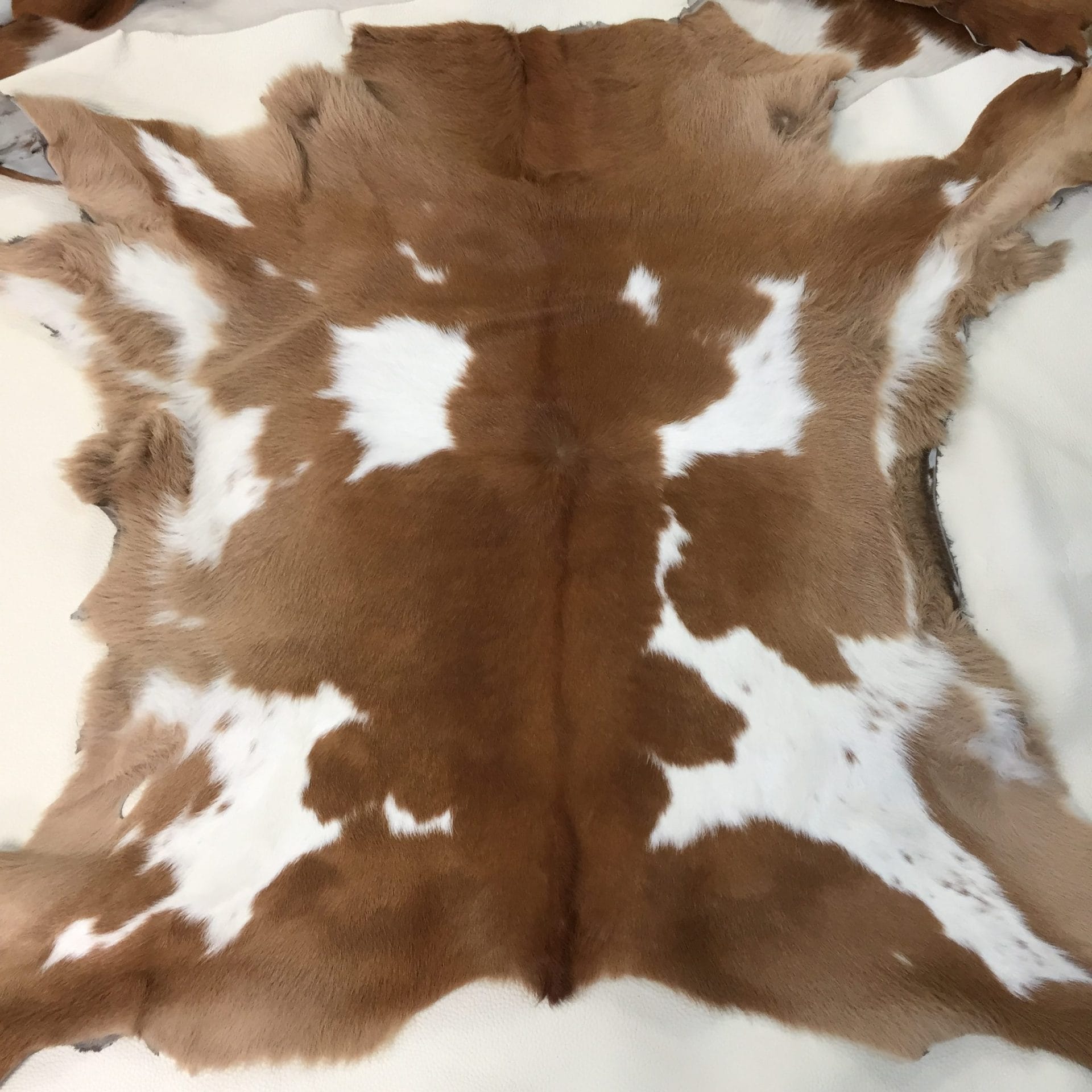 Hair Calfskin Brown with Off White (2)