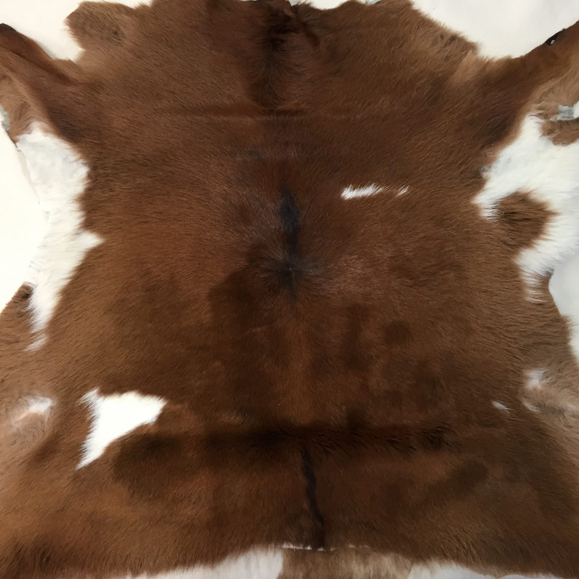 Hair Calfskin Brown with Off White (4)