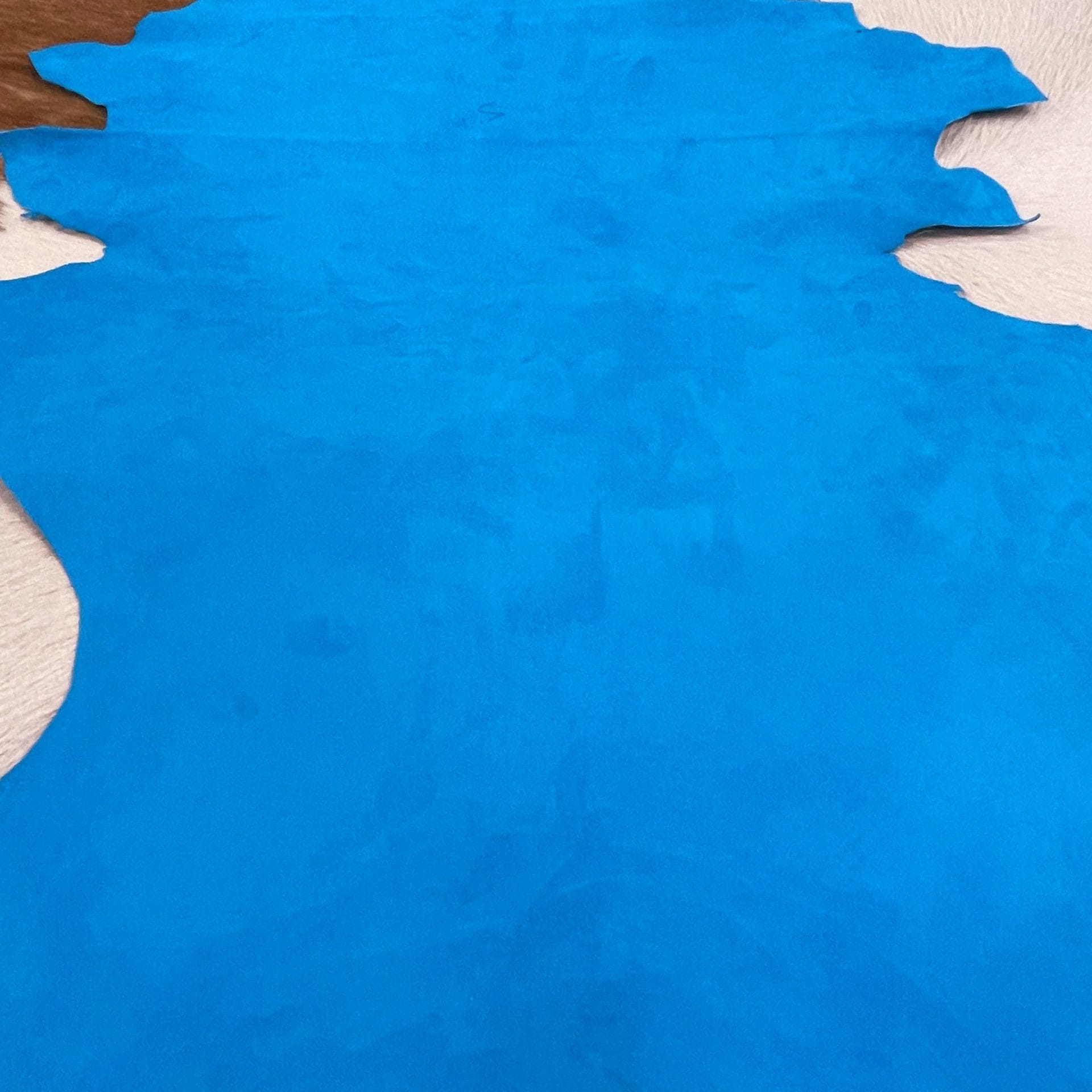 Vivid Blue (1)