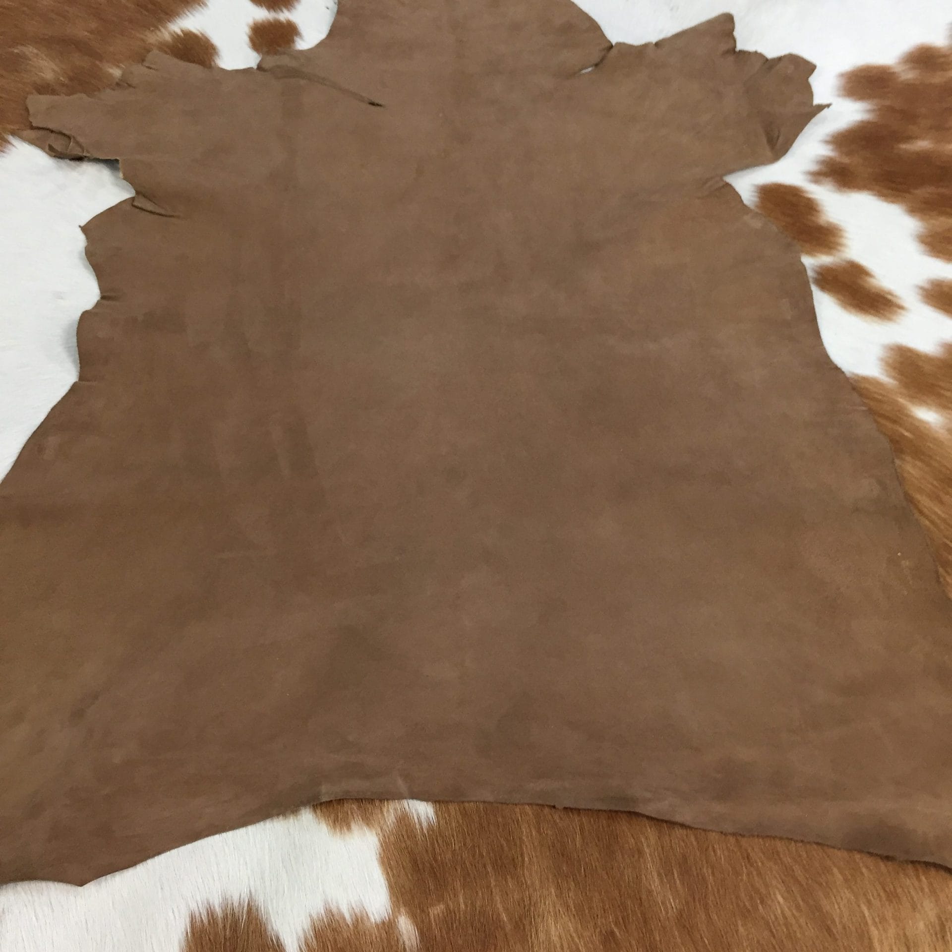 Toffee Brown (3)