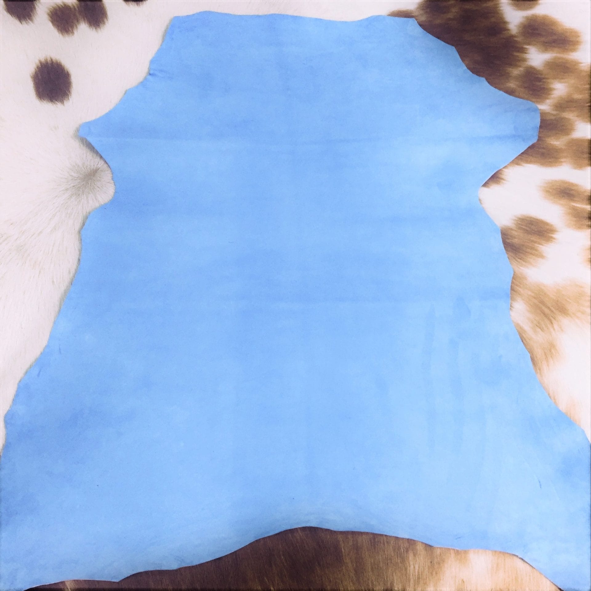 alaska blue (1)