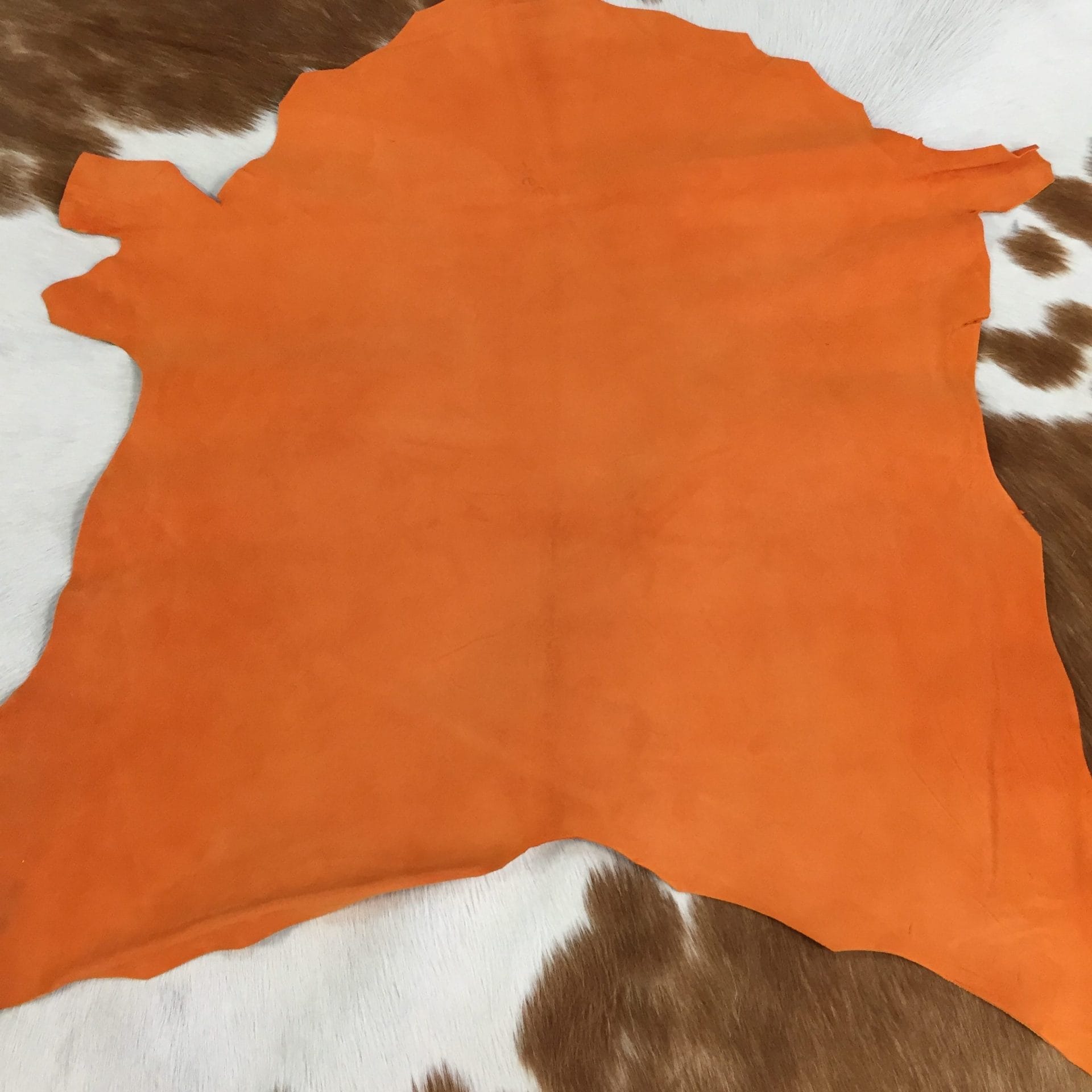 burnt orange (1)