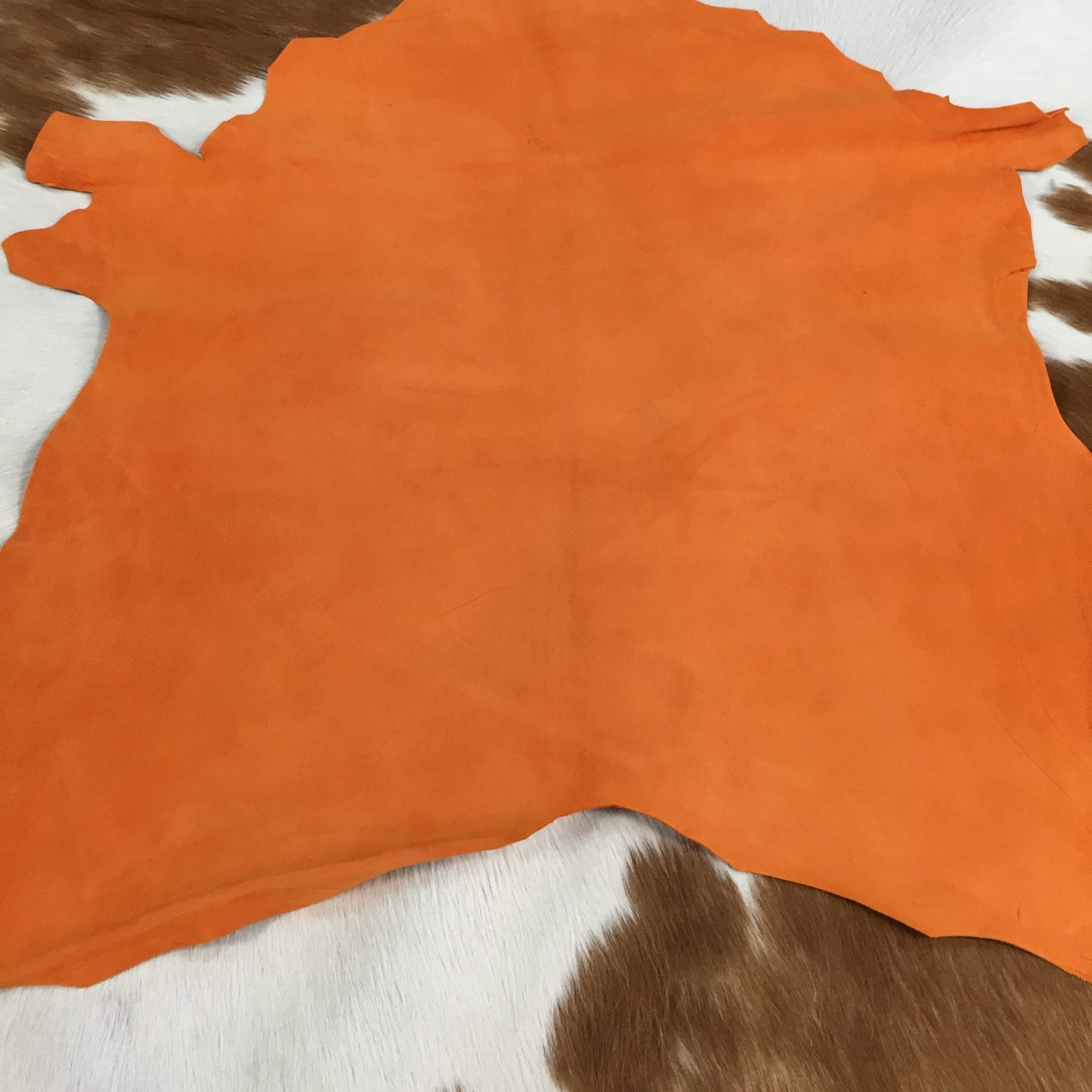 burnt orange (2)