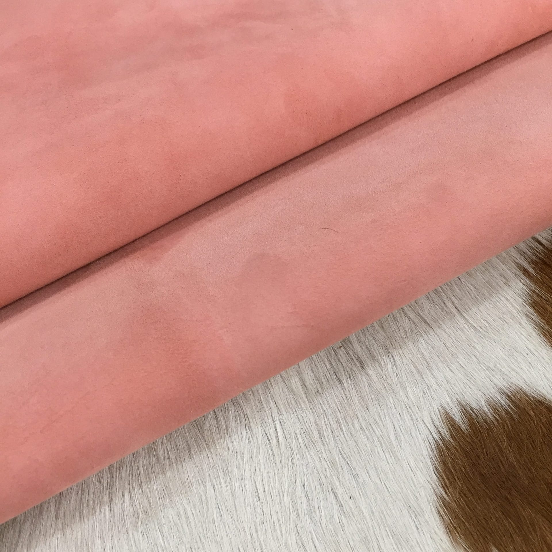 coral haze (3)