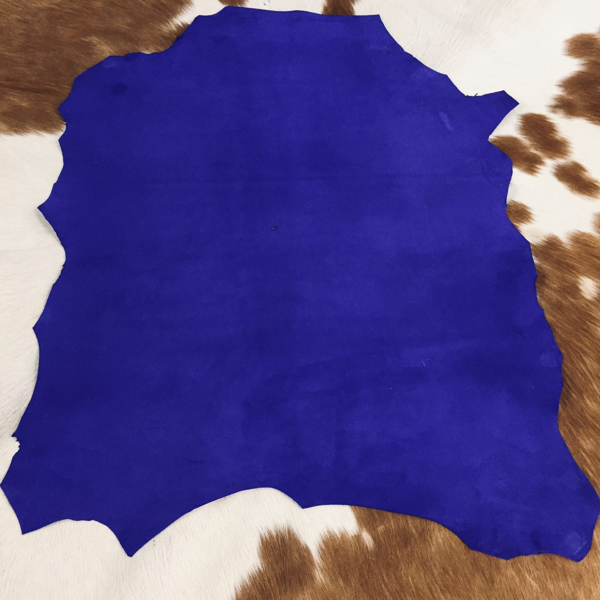 dazzling blue (1)