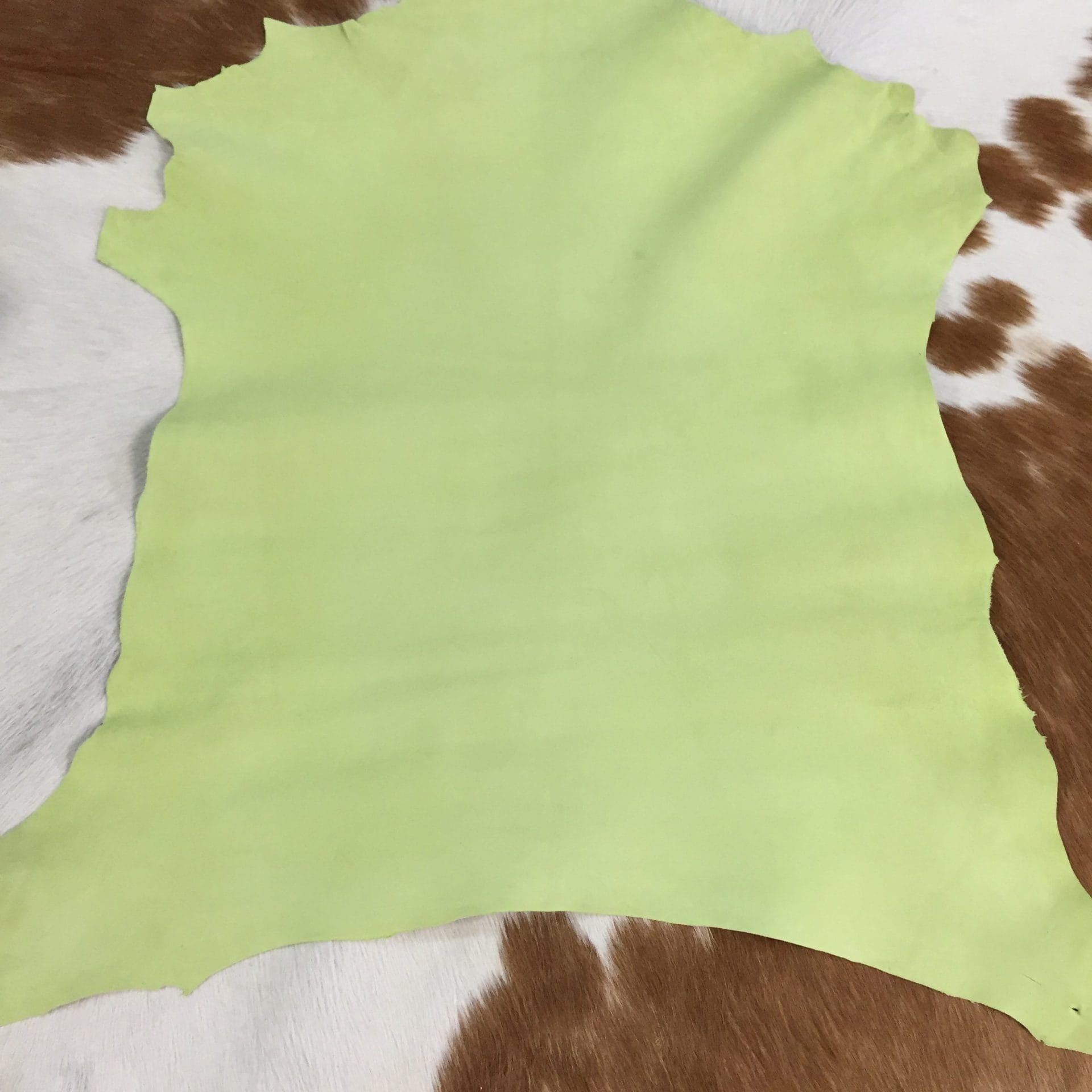lime sherbert (2)