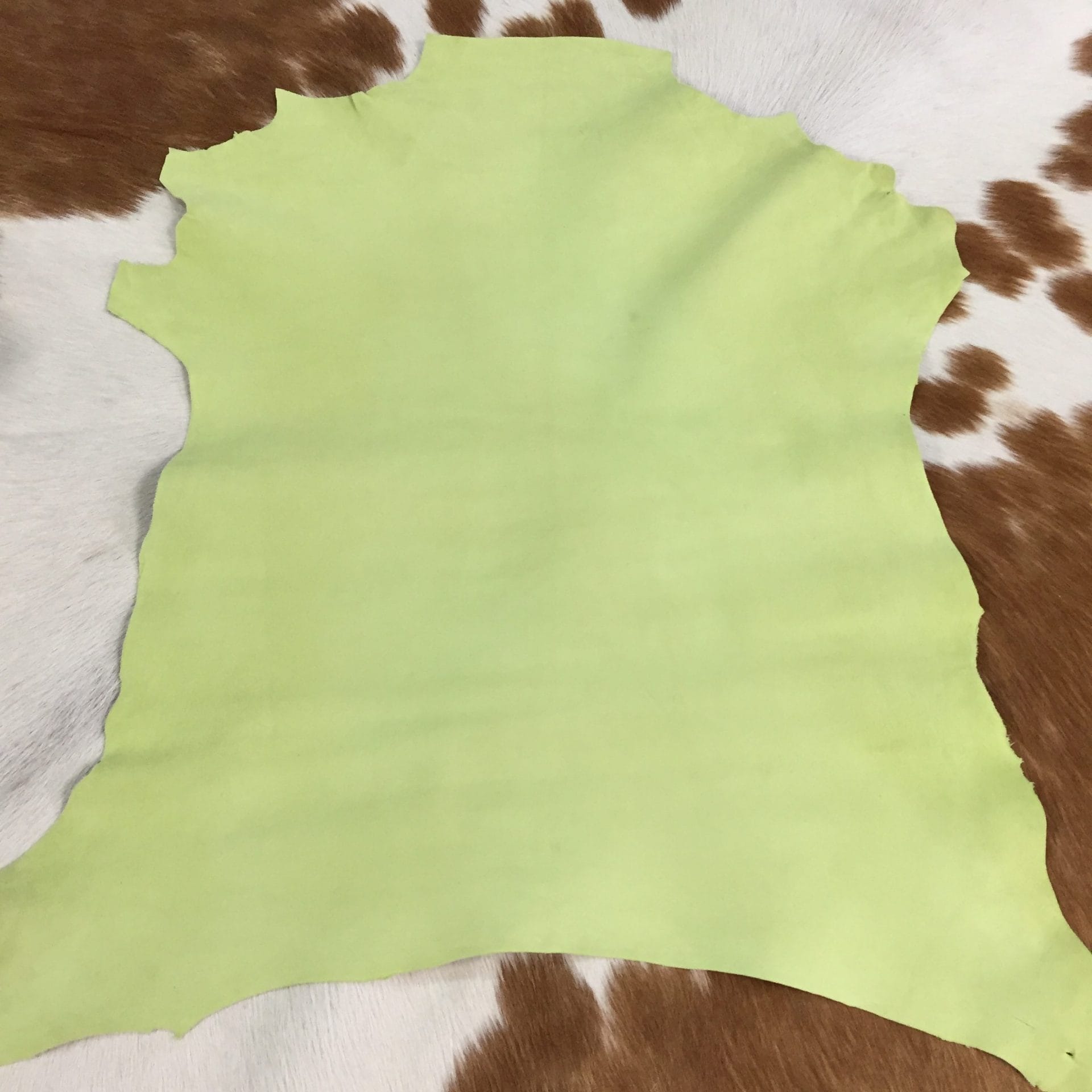 lime sherbert (3)