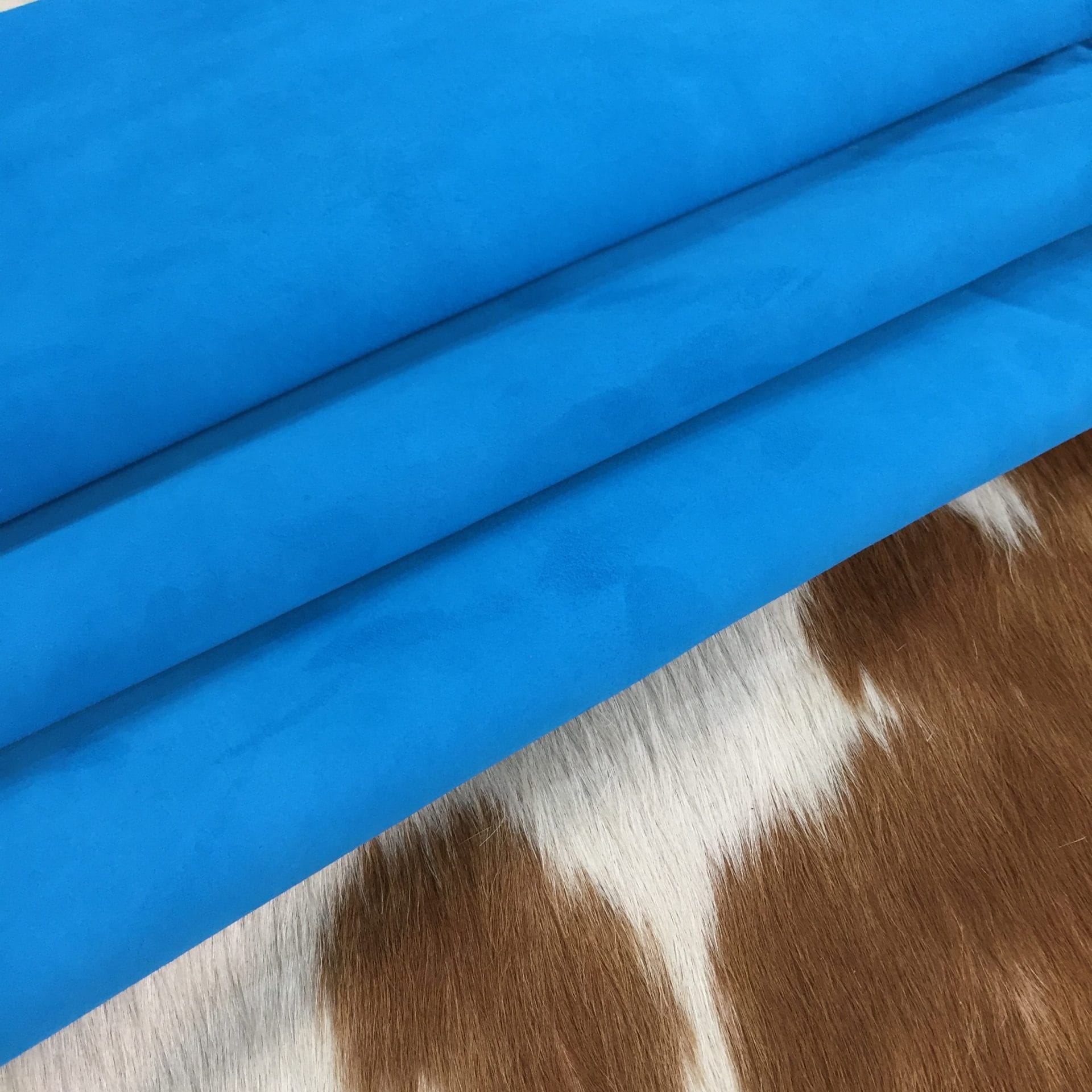 vivid blue (2)