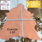 5-6 Sq. Ft.