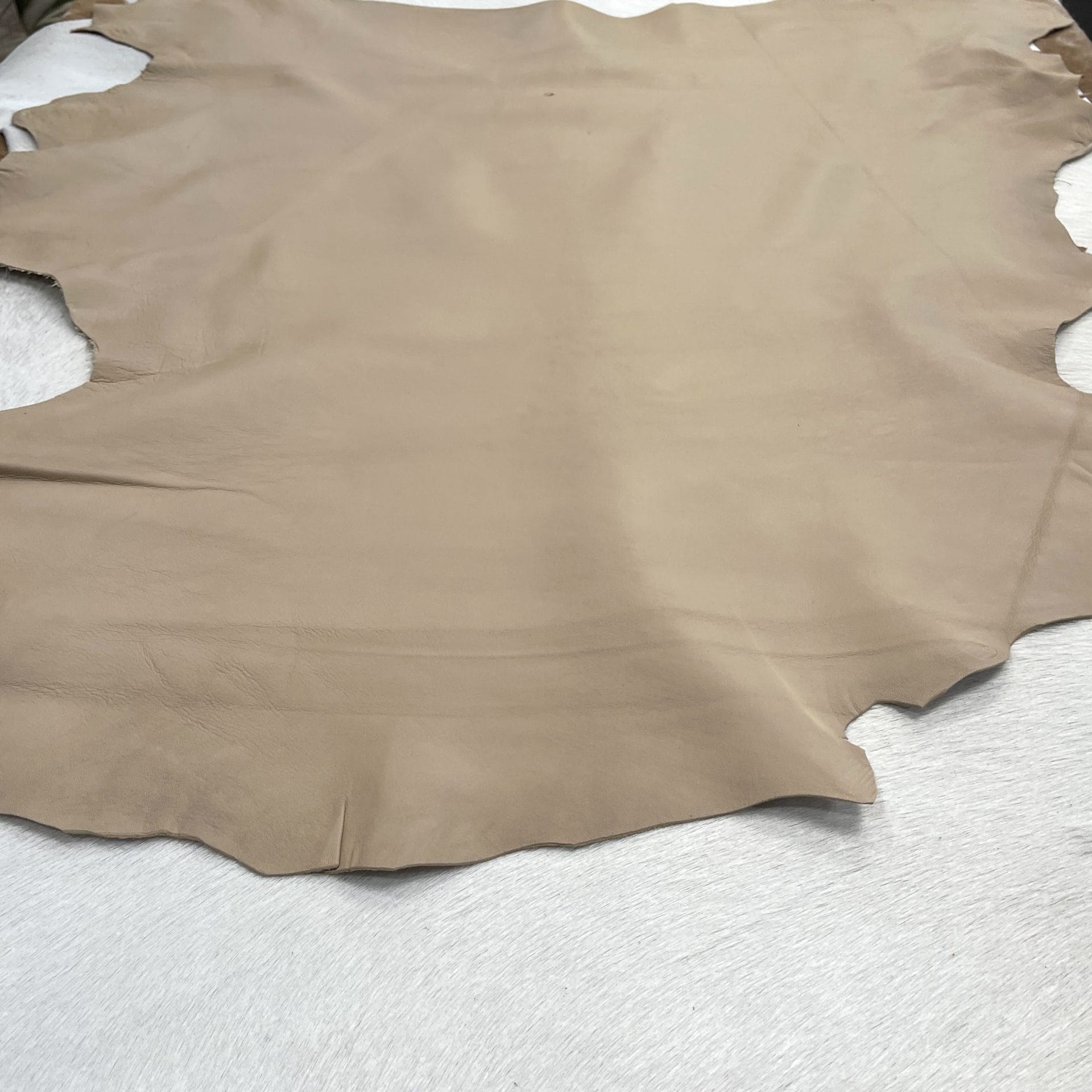 Tuscauny Lambskin