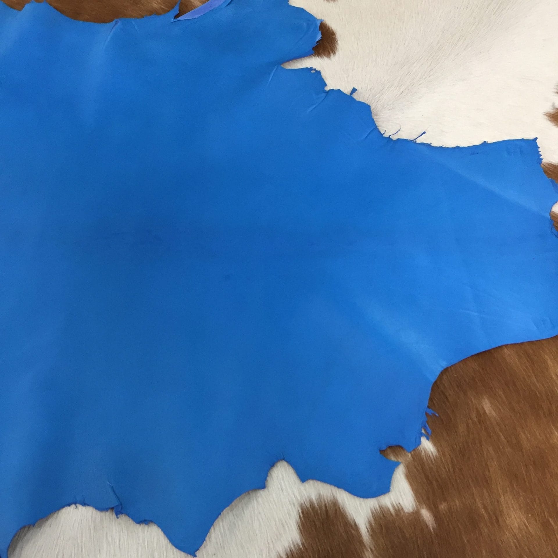 Aqua Blue Lambskin