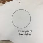 Lambskin Leather Grade C is a type of leather that might have some imperfections, but they do not affect its performance. Instead, these flaws give it a unique appearance. The leather's raw material is sourced from sheep or lamb, and it weighs 2 oz. with a thickness of 0.7-0.9 mm. Furthermore, the economy grade Lamb leather may have uneven shade tone, dark spots, stretch marks, scarring, scratches, or a few holes. However, these flaws do not affect its performance. Instead, they give it a unique appearance that sets it apart from other types of leather. The leather has a semi-gloss finish, which adds to its aesthetic appeal. Additionally, its soft-medium temper makes it pliable and easy to work with. In terms of size, the average hide size for economy grade Lamb leather is 6-8 sq. ft. With this size, you can use this type of leather for making accessories, arts and crafts, shoes, apparel, and more. Its versatility and unique appearance make it an excellent choice for various projects.