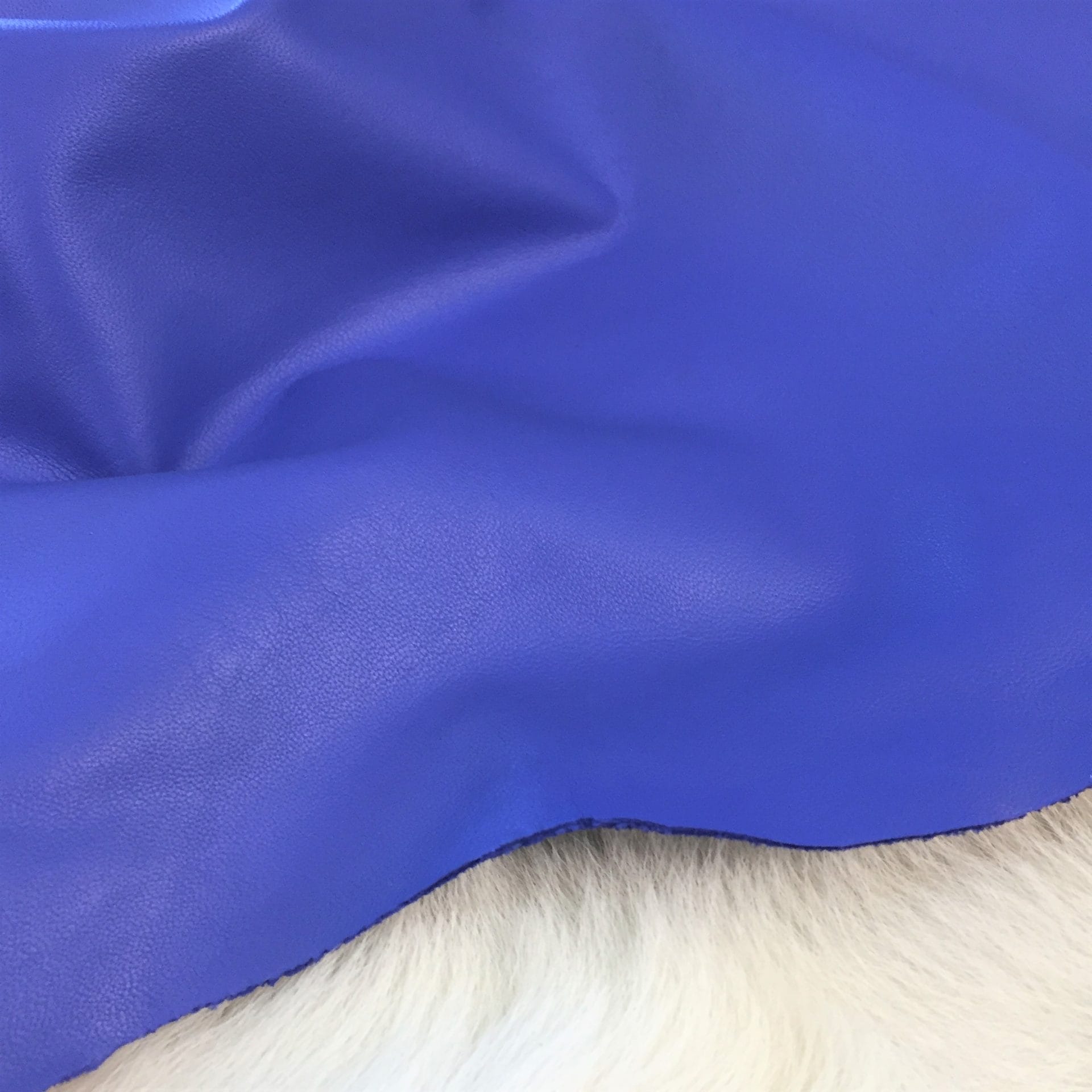 Baja Blue avetcoinc@ (1)