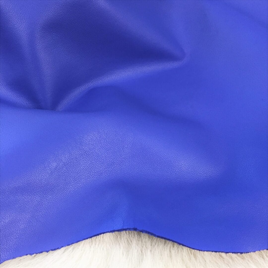 Baja Blue avetcoinc@ (2)