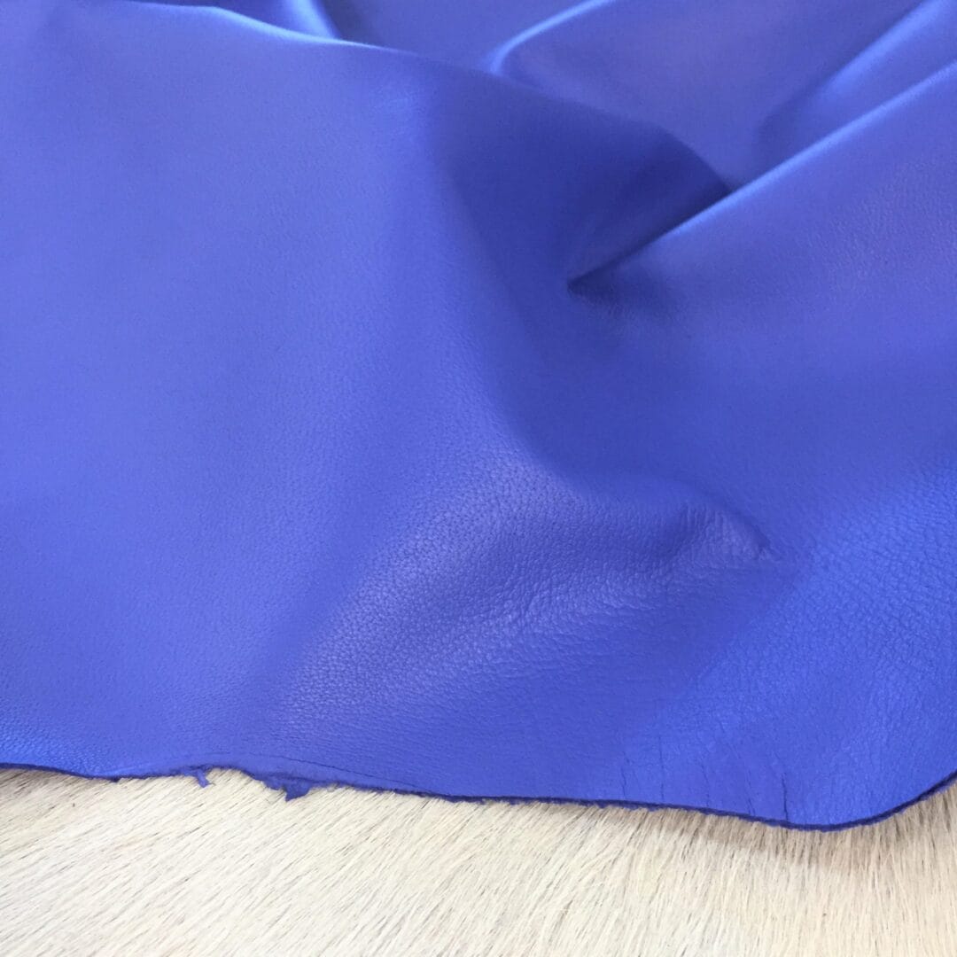 Baja Blue avetcoinc@ (3)