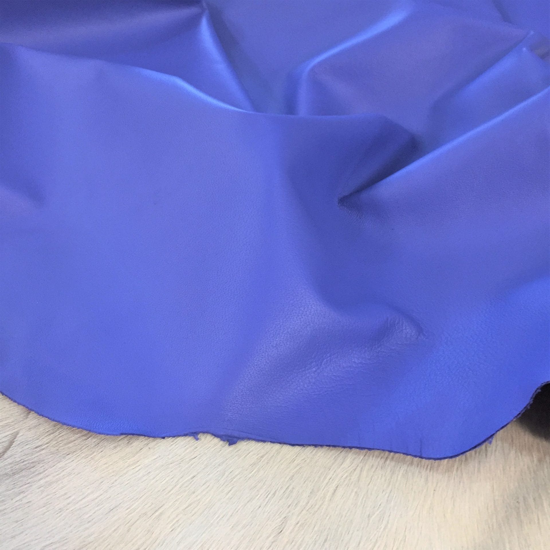 Baja Blue avetcoinc@
