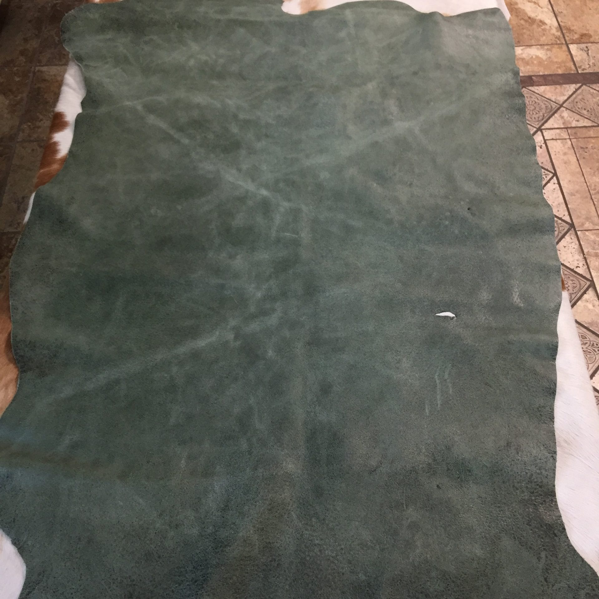 DIN-804 forest green avetcoinc@ (2)