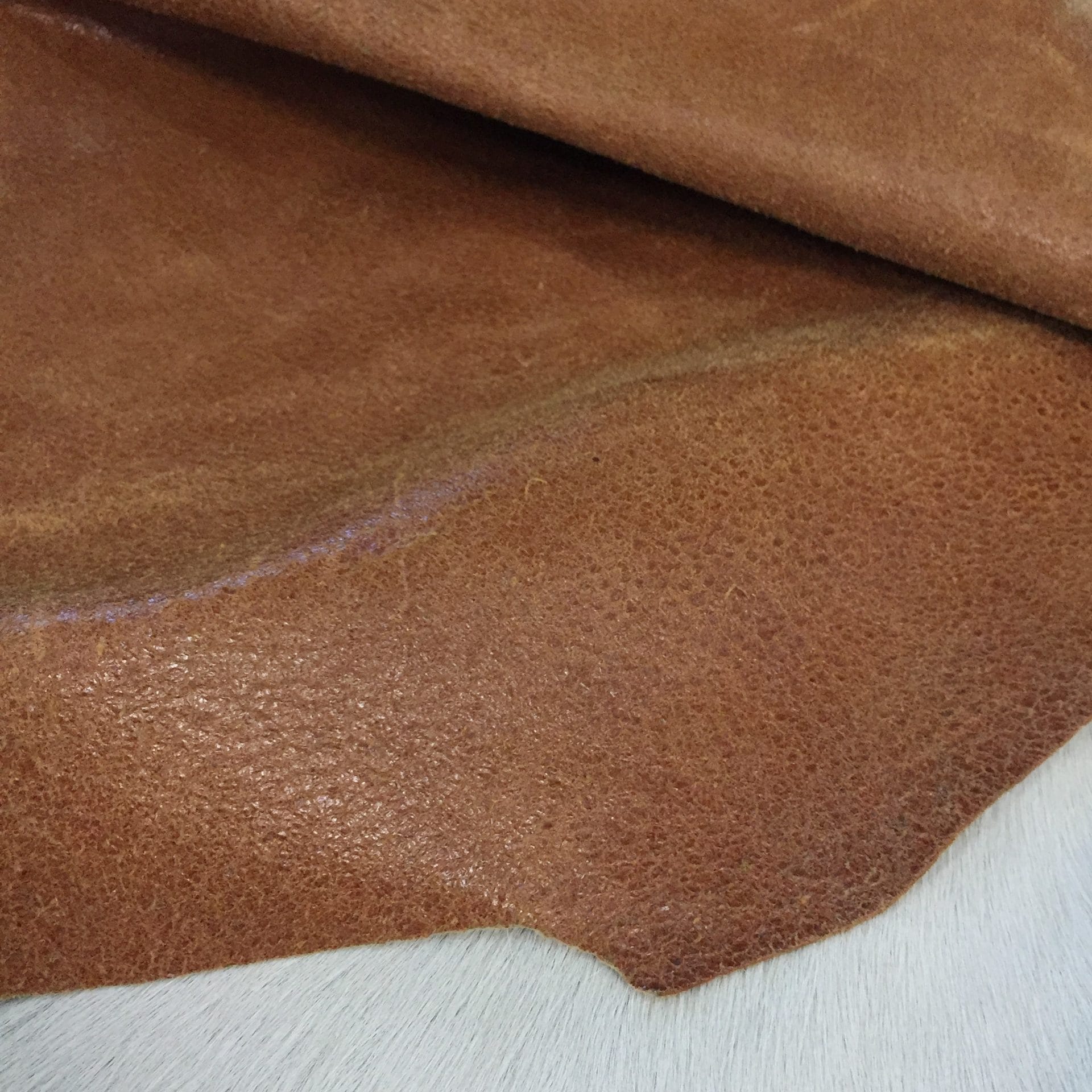 DIN-805 COGNAC avetcoinc@ (3)