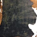 Iguana Black | Avetco Leather Hides and Eva Foam