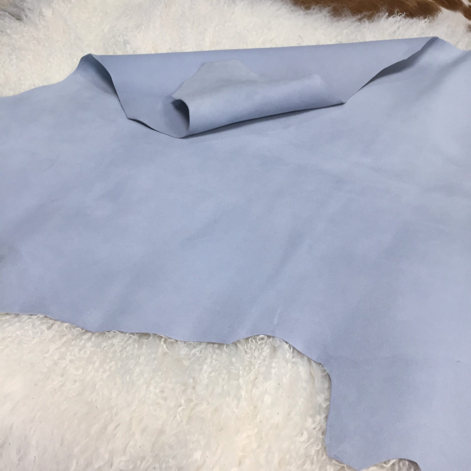 Baby Blue (1)