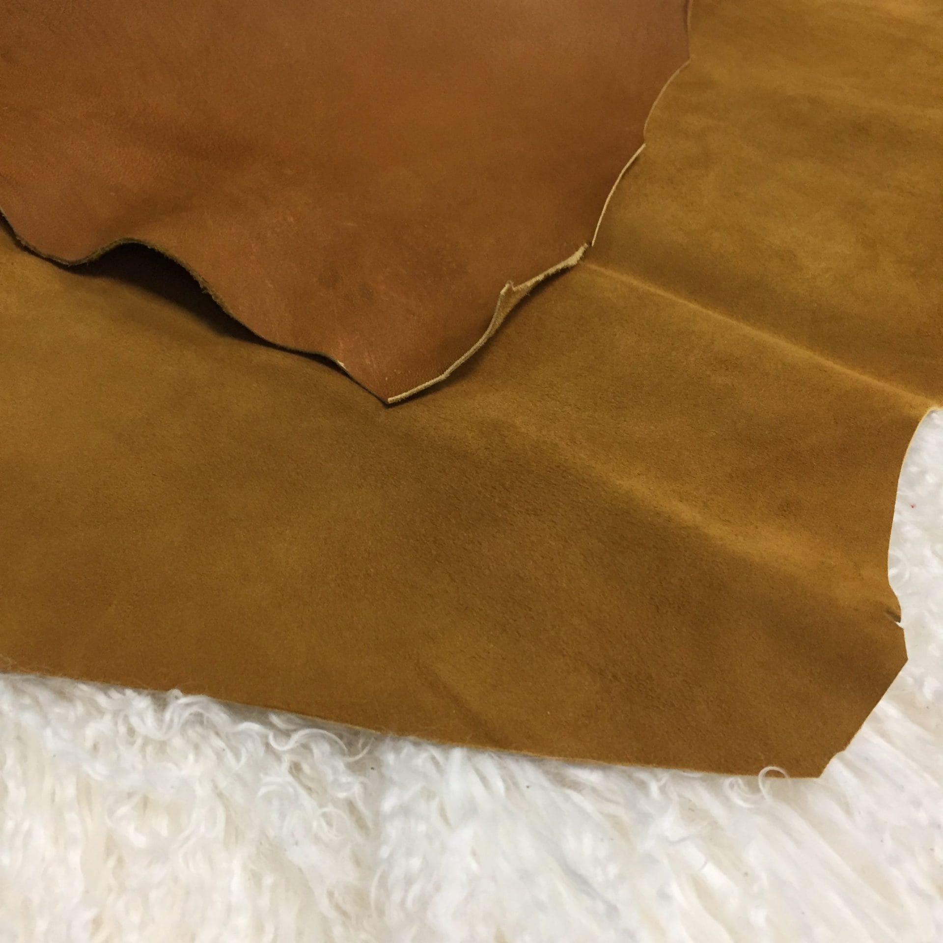 Buckthorn Brown (2)