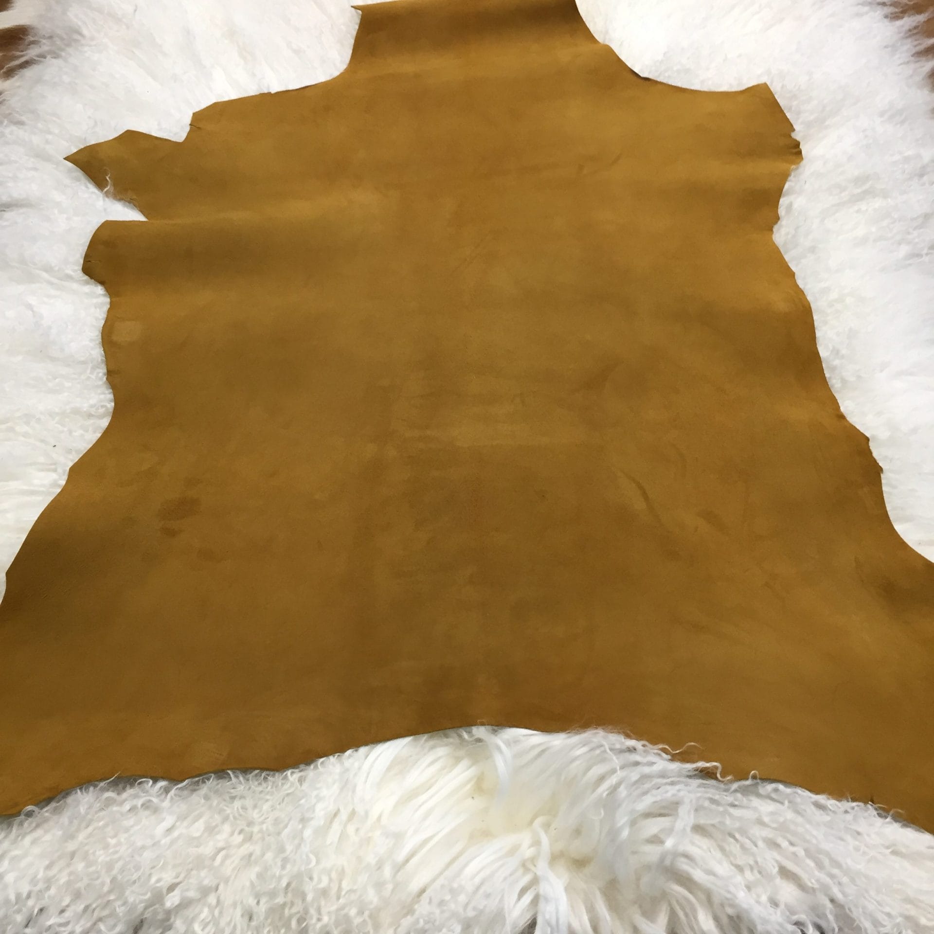 Buckthorn Brown (3)