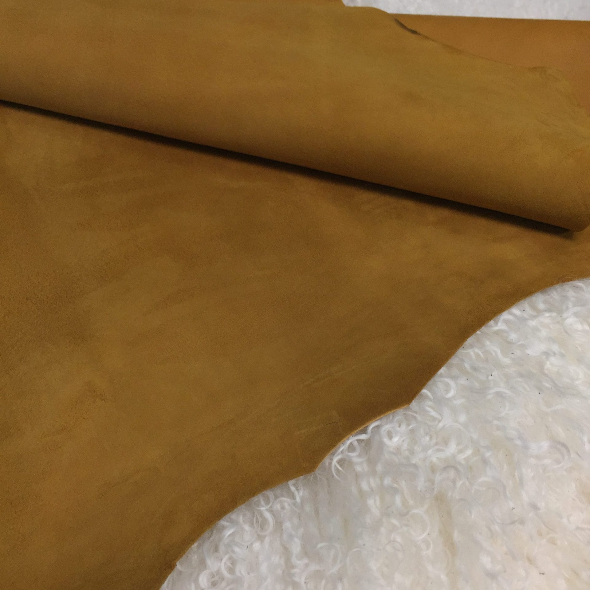 Buckthorn Brown (4)