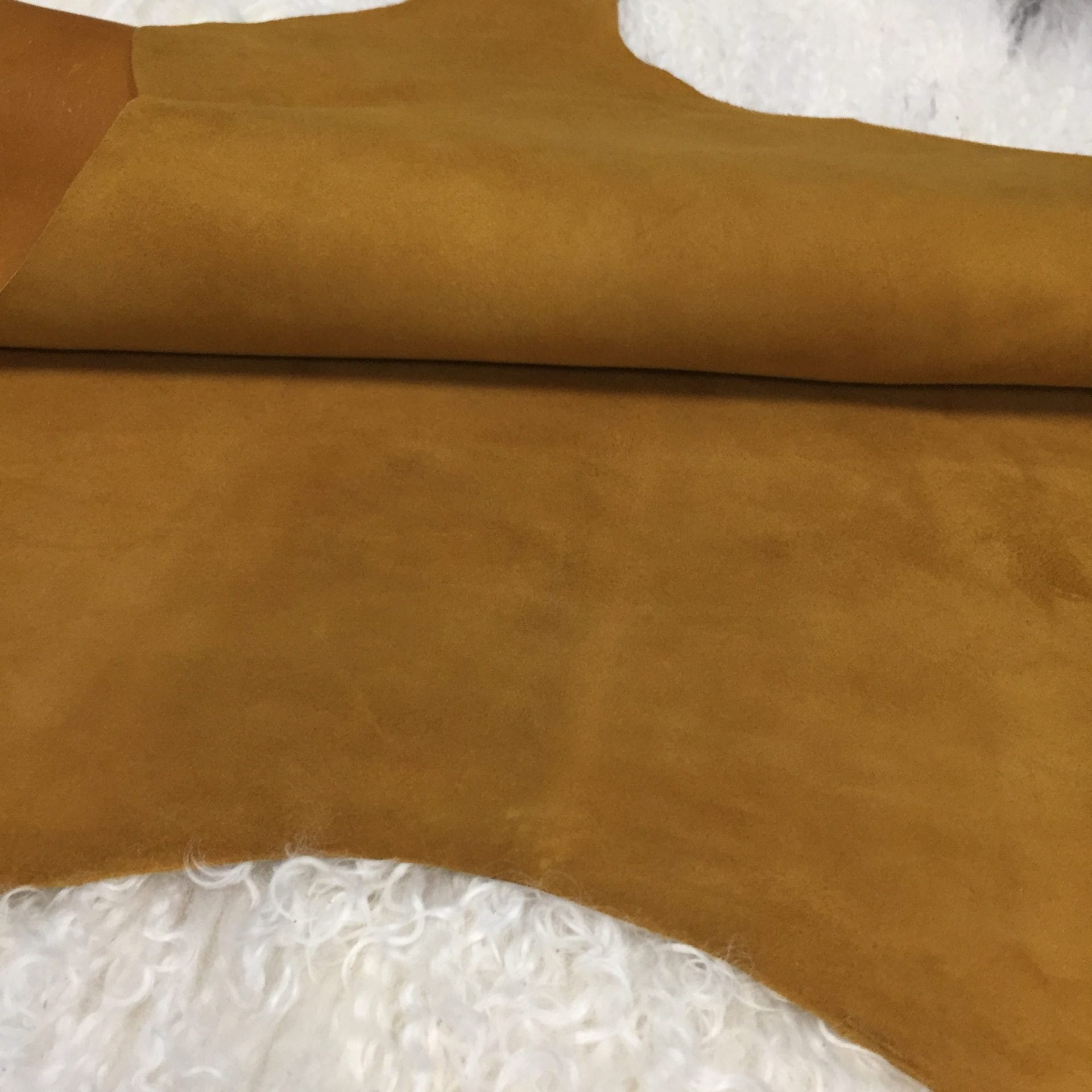 Buckthorn Brown (5)