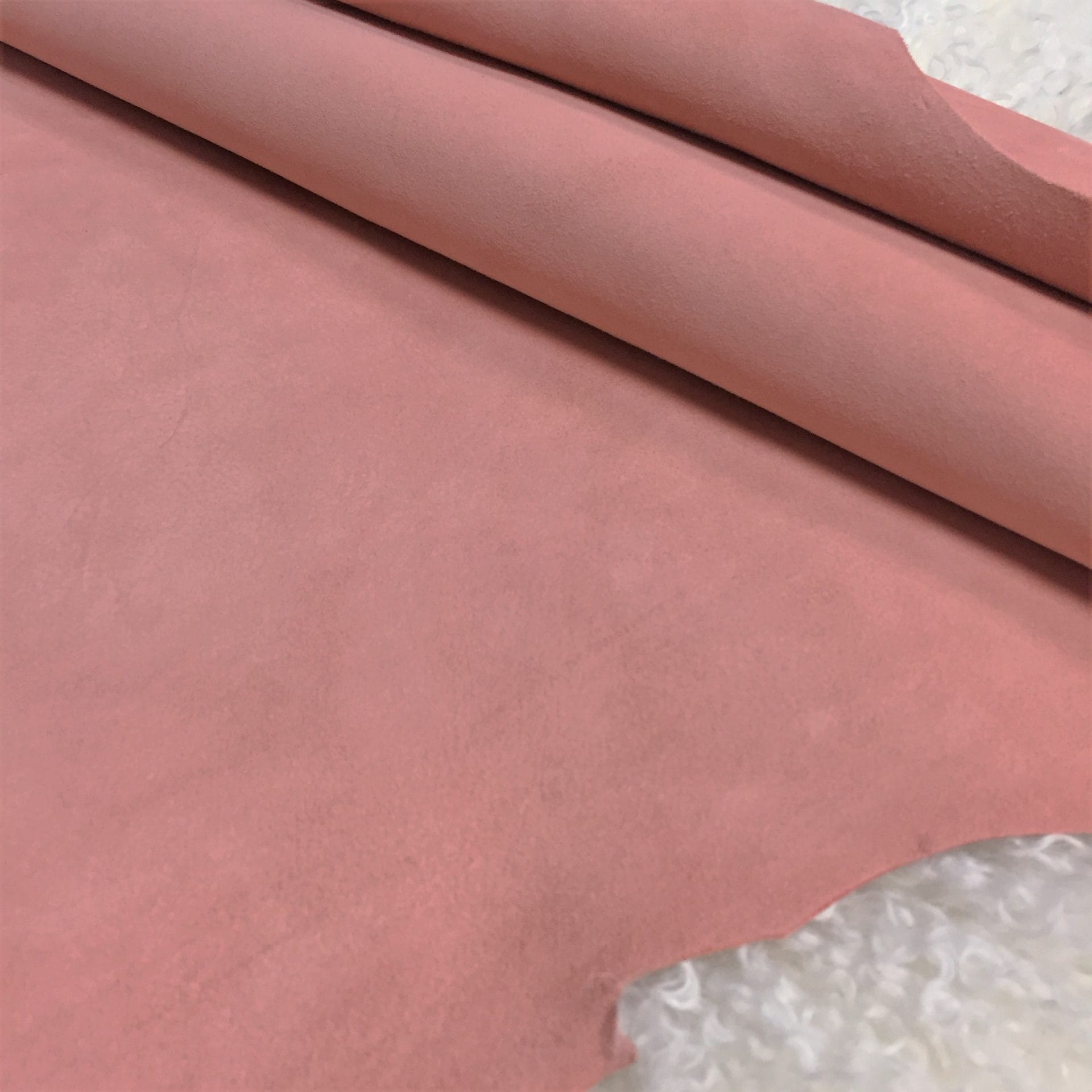 CORAL HAZE (1)