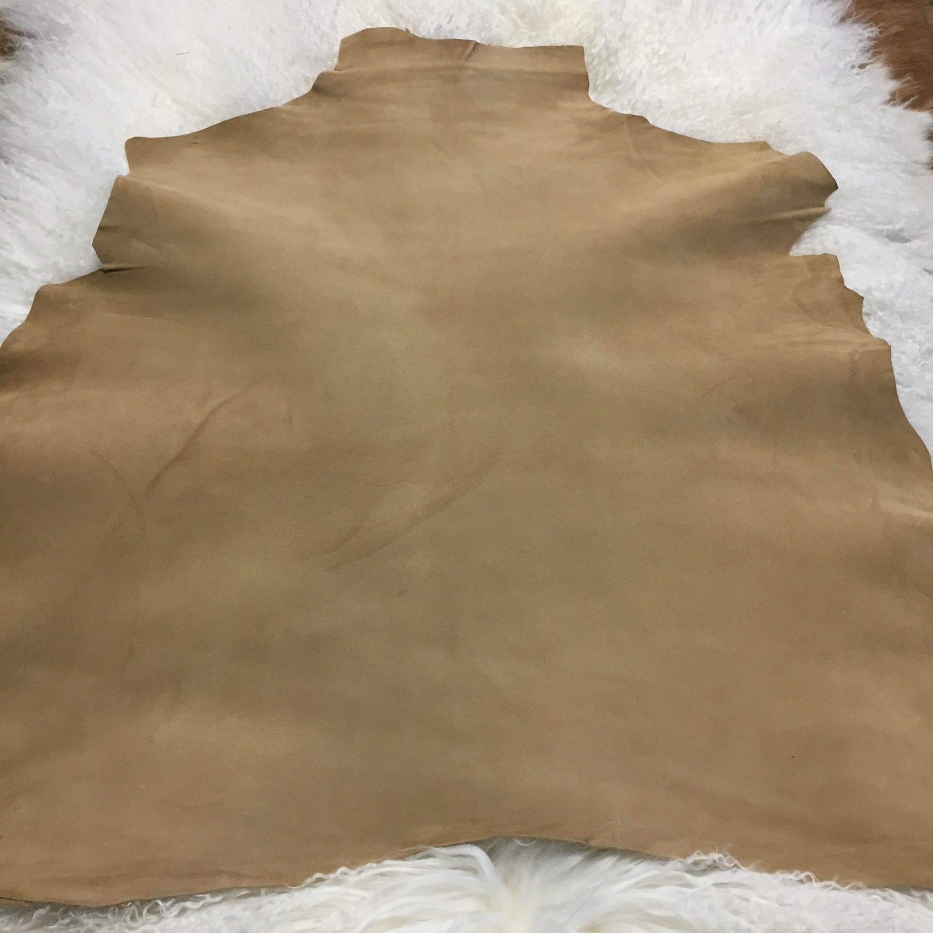 Tan (3)