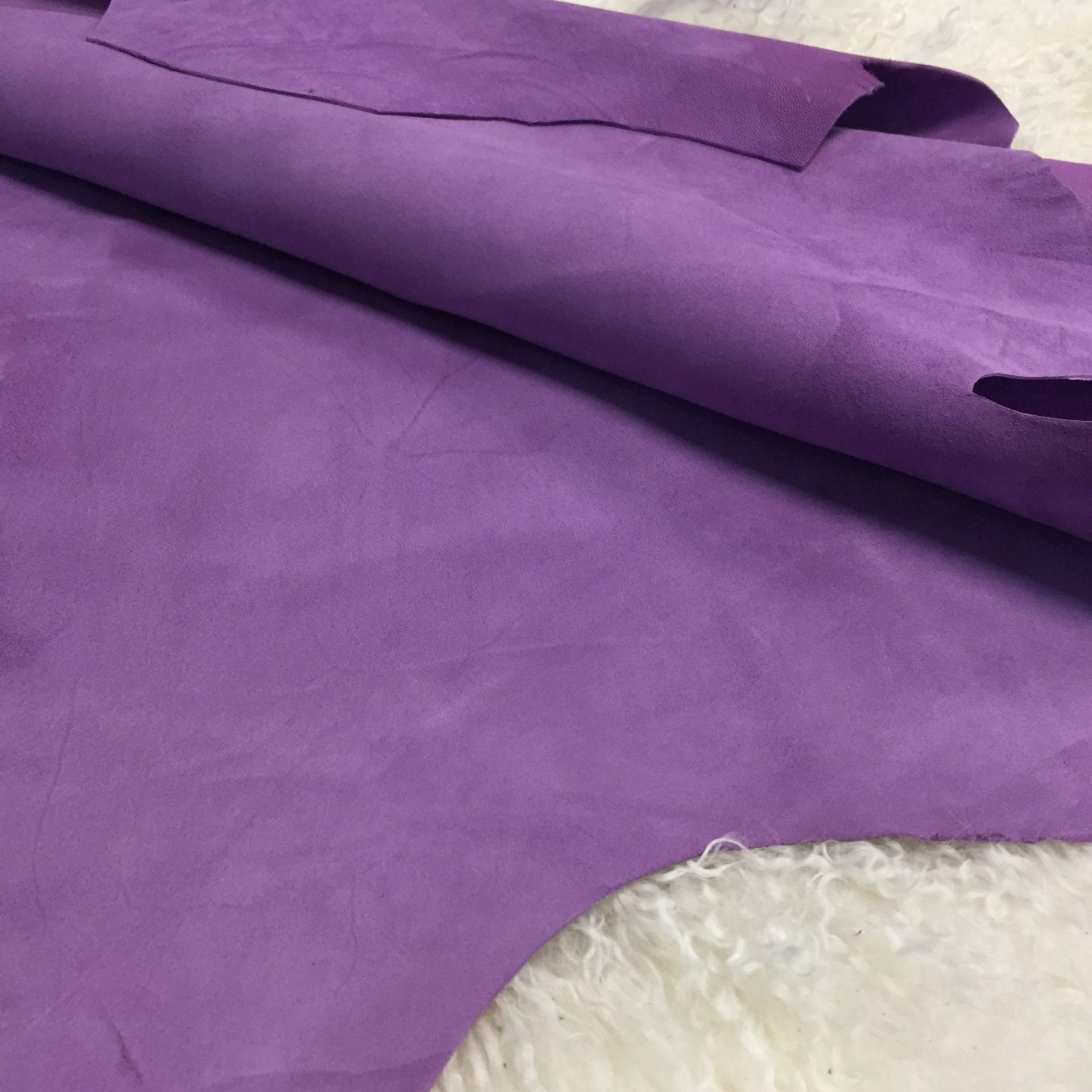 Violet (1)