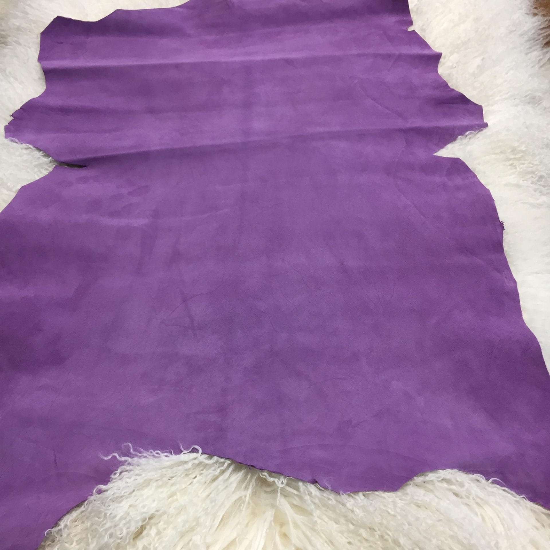 Violet (2)